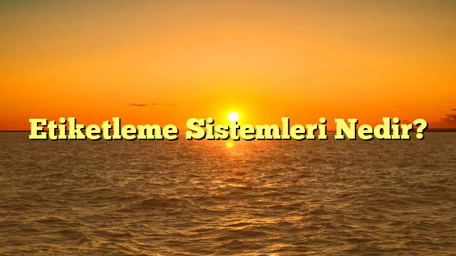Etiketleme Sistemleri Nedir?
