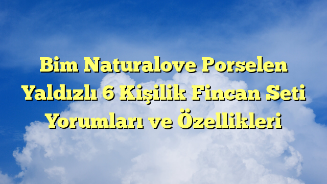 Bim Naturalove Porselen Yaldızlı 6 Kişilik Fincan Seti Yorumları ve Özellikleri