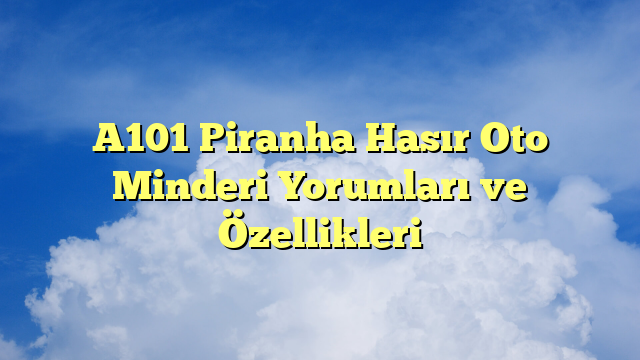 A101 Piranha Hasır Oto Minderi Yorumları ve Özellikleri