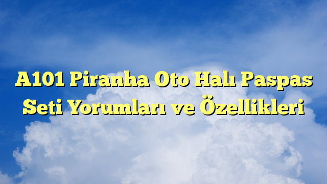 A101 Piranha Oto Halı Paspas Seti Yorumları ve Özellikleri