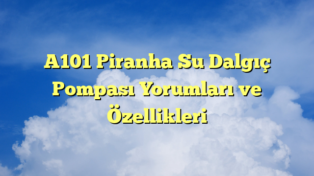 A101 Piranha Su Dalgıç Pompası Yorumları ve Özellikleri