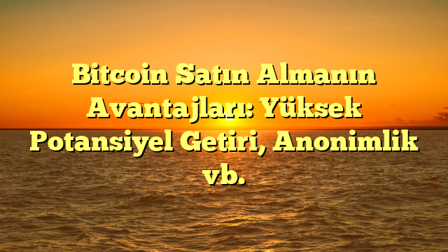 Bitcoin Satın Almanın Avantajları: Yüksek Potansiyel Getiri, Anonimlik vb.