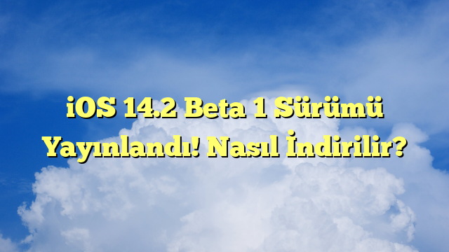 iOS 14.2 Beta 1 Sürümü Yayınlandı! Nasıl İndirilir?