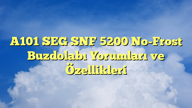 A101 SEG SNF 5200 No-Frost Buzdolabı Yorumları ve Özellikleri